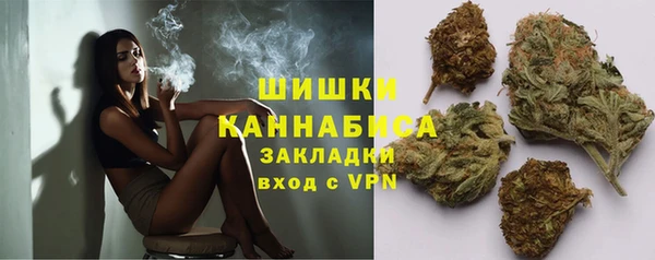 винт Касимов
